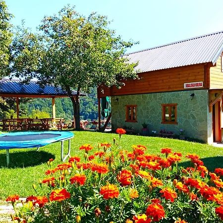 Kraljska Koliba - Kralje'S Cottage Andrijevica 外观 照片