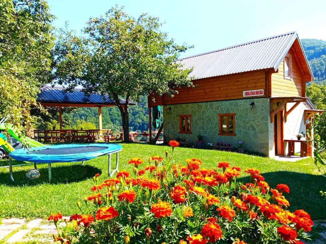Kraljska Koliba - Kralje'S Cottage Andrijevica 外观 照片