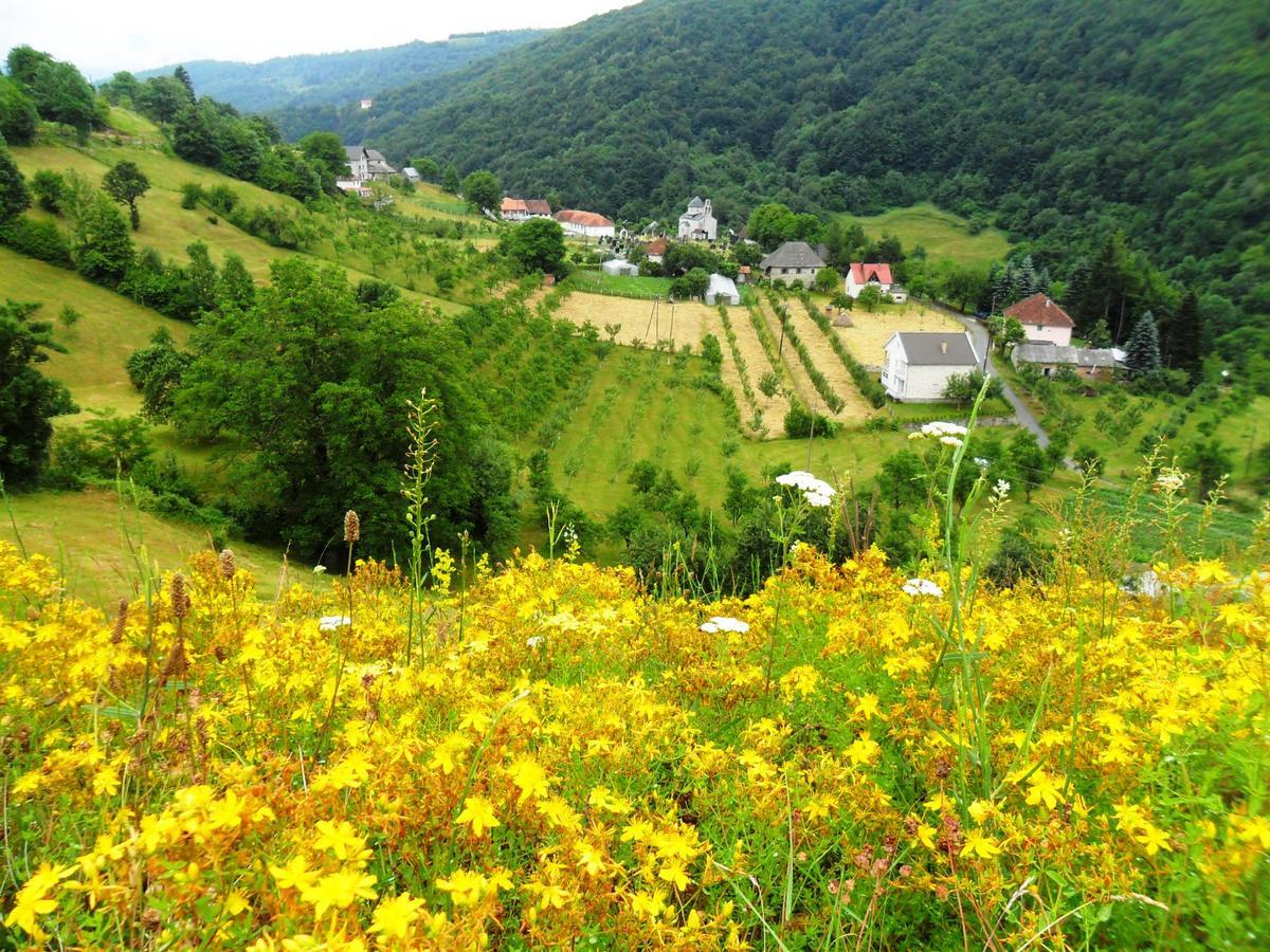 Kraljska Koliba - Kralje'S Cottage Andrijevica 外观 照片