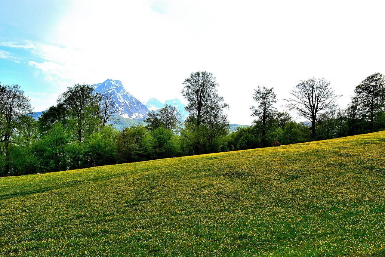 Kraljska Koliba - Kralje'S Cottage Andrijevica 外观 照片
