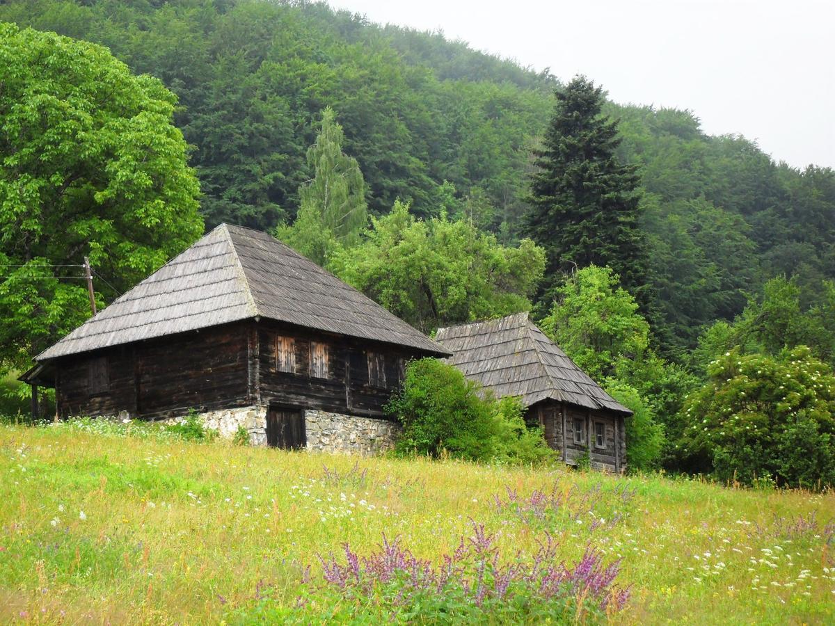 Kraljska Koliba - Kralje'S Cottage Andrijevica 外观 照片