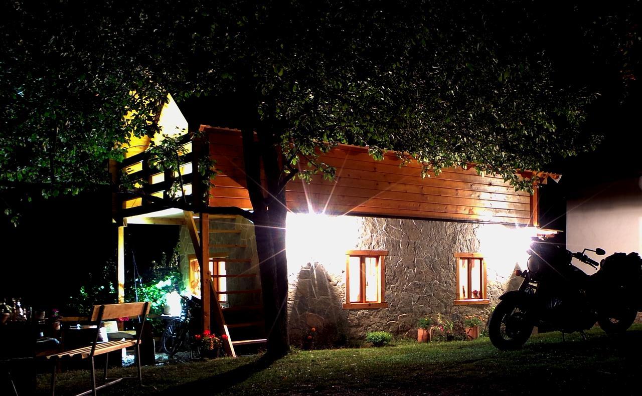 Kraljska Koliba - Kralje'S Cottage Andrijevica 外观 照片