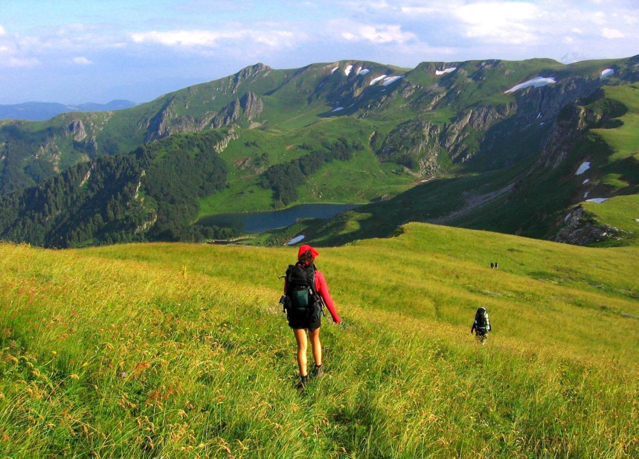 Kraljska Koliba - Kralje'S Cottage Andrijevica 外观 照片