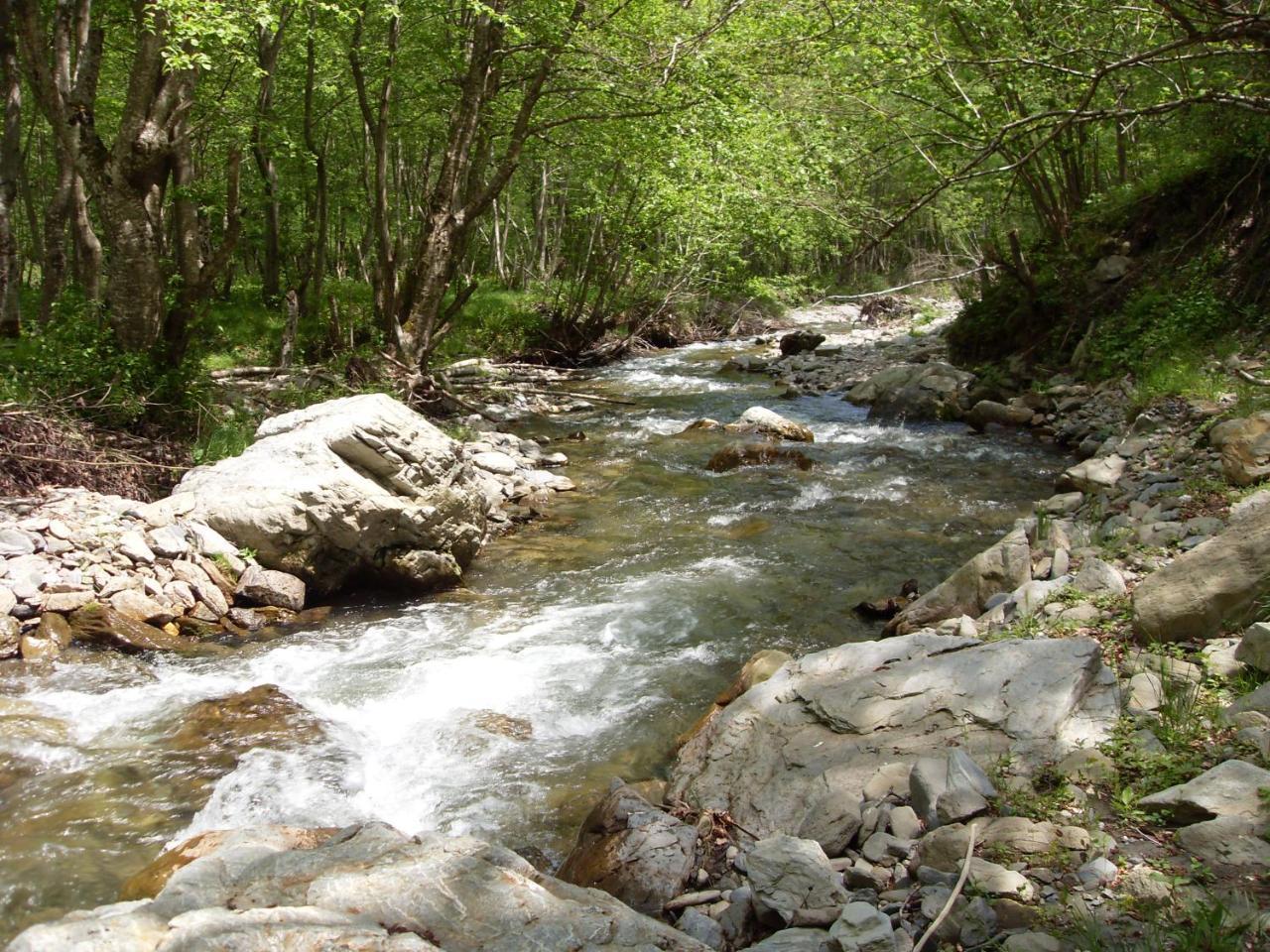 Kraljska Koliba - Kralje'S Cottage Andrijevica 外观 照片